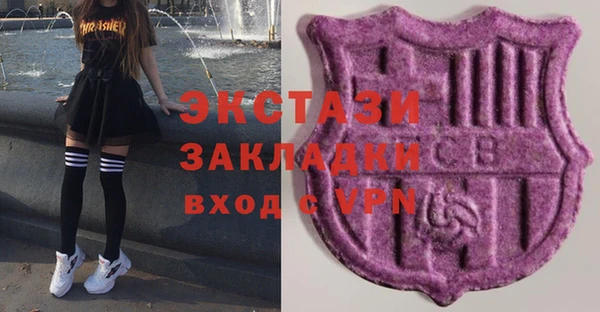 индика Бородино
